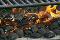Feu de charbons