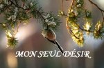 Mon seul désir