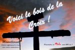 Voici le bois de la croix
