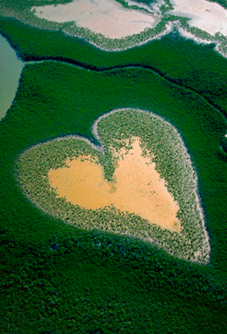 Terre vue du ciel