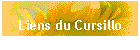 Liens du Cursillo