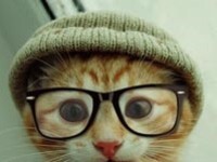 capsule de réflexion