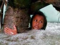 capsule de réflexion