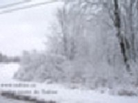 capsule de réflexion