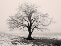 capsule de réflexion