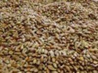 capsule de réflexion