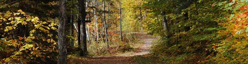 Les Cursillos en Outaouais