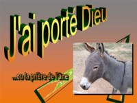 diaporama de la semaine