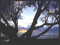 diaporama de la semaine