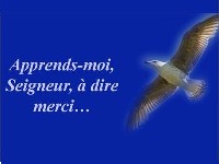 diaporama de la semaine