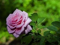 diaporama de la semaine