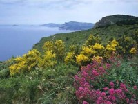 diaporama de la semaine