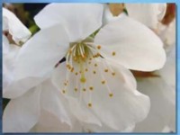 vidéo inspirante de la semaine